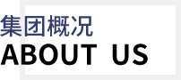 這是描述信息